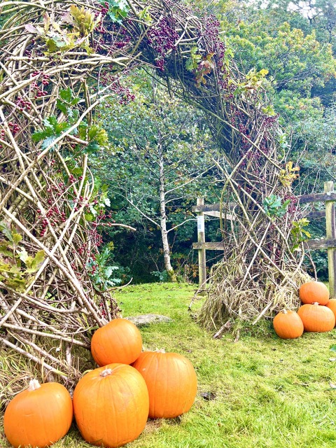 Pumpkin hazel ring